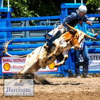 MoruyaRodeo2019_1205