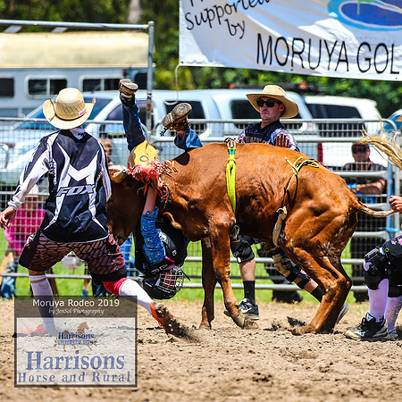 MoruyaRodeo2019_1178