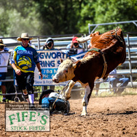 TaralgaRodeo2019_5326
