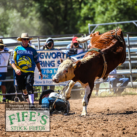 TaralgaRodeo2019_5326