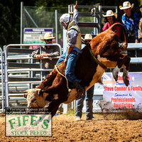 TaralgaRodeo2019_5369