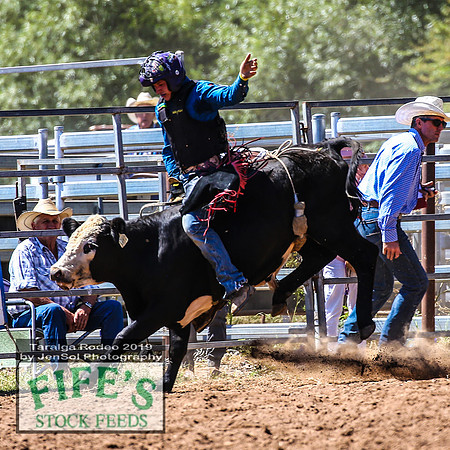 TaralgaRodeo2019_5361