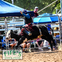 TaralgaRodeo2019_5362