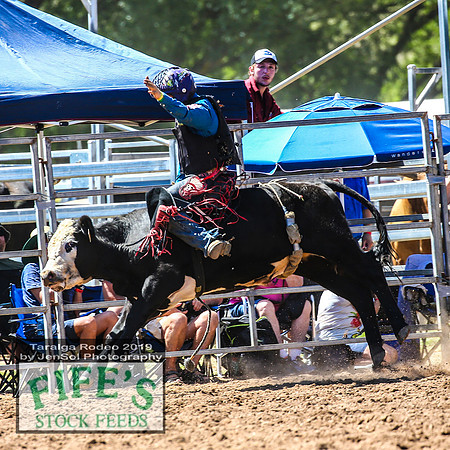 TaralgaRodeo2019_5362