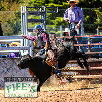 TaralgaRodeo2019_5442