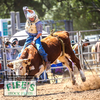 TaralgaRodeo2019_5419