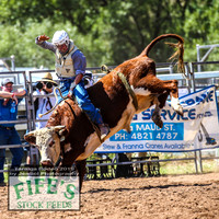 TaralgaRodeo2019_5381