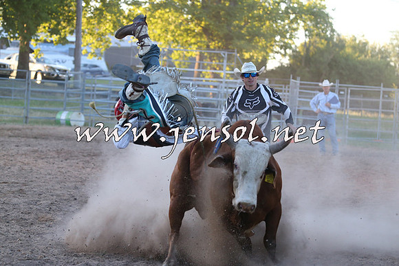 MossVale2015_2888