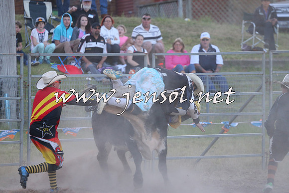 MossVale2015_2839
