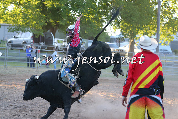 MossVale2015_2784