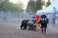 Steers & Bulls