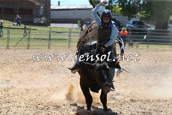 MossVale2015_2075-1