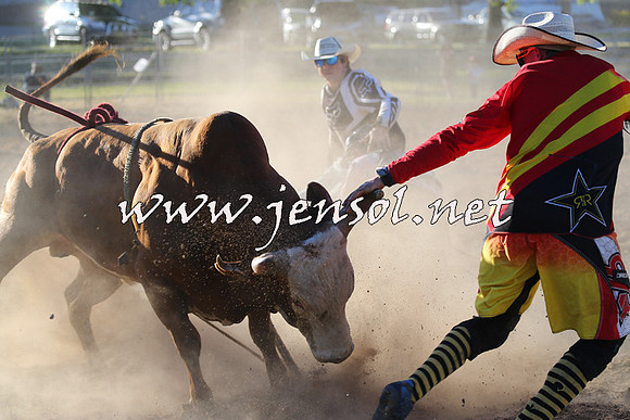 MossVale2015_2737