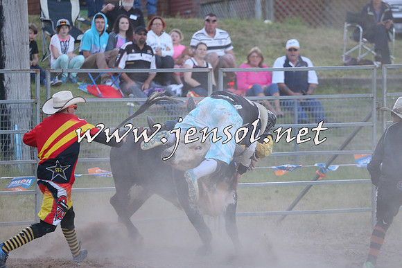 MossVale2015_2842