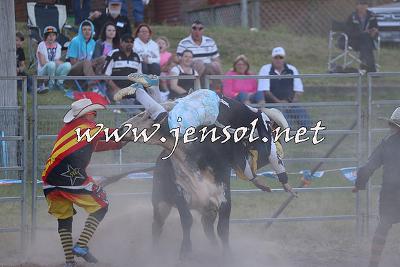 MossVale2015_2834