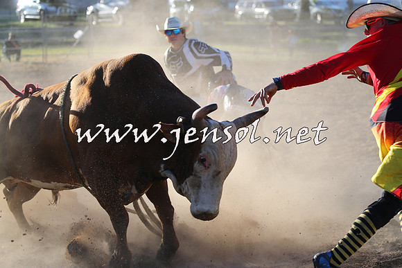 MossVale2015_2738