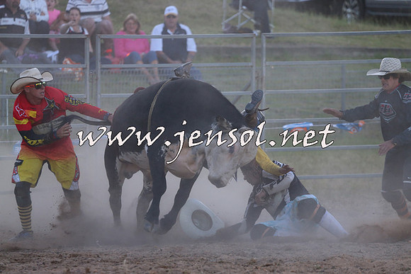 MossVale2015_2853