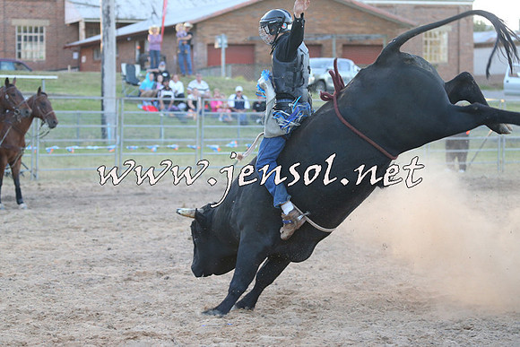 MossVale2015_2807