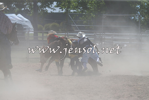 MossVale2015_2124-1