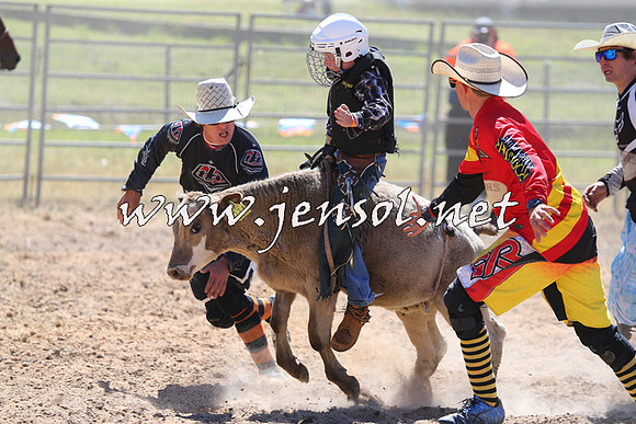 MossVale2015_2202