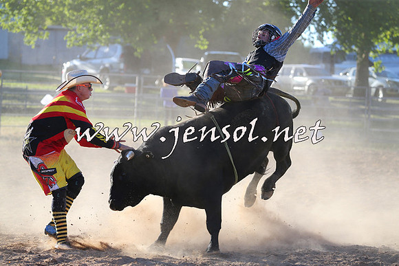 MossVale2015_2682