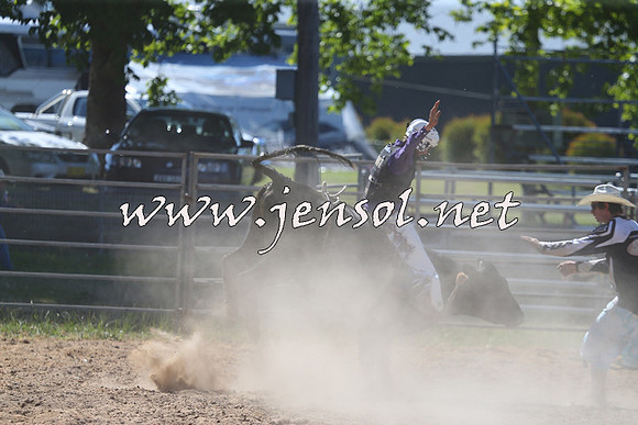 MossVale2015_2266