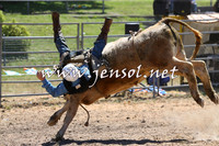 MossVale2015_2109-1