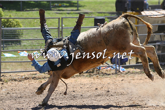MossVale2015_2109-1
