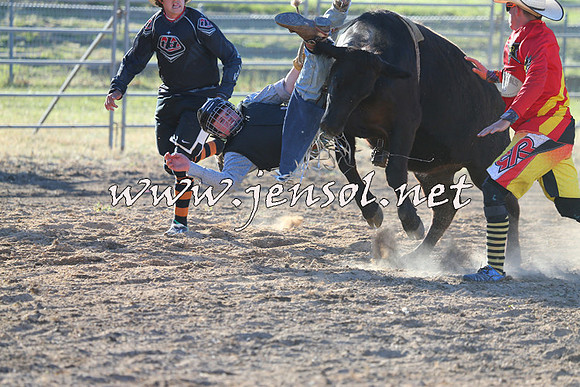 MossVale2015_2554