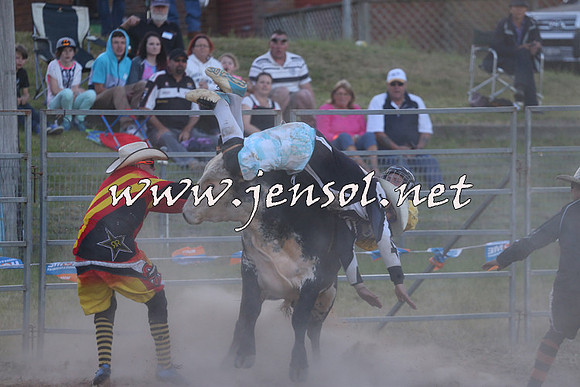 MossVale2015_2829