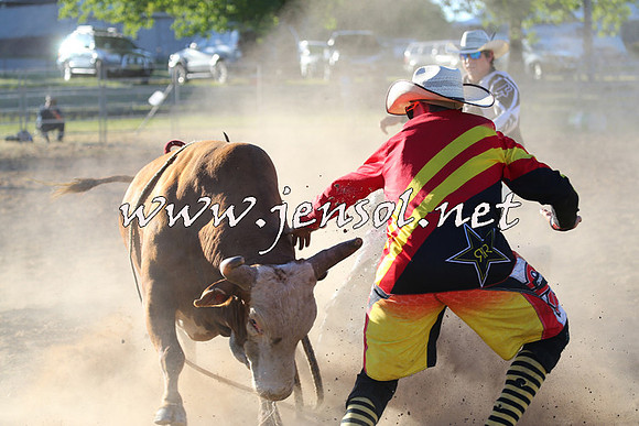 MossVale2015_2739
