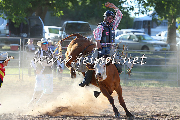 MossVale2015_2429