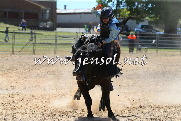 MossVale2015_2077-1