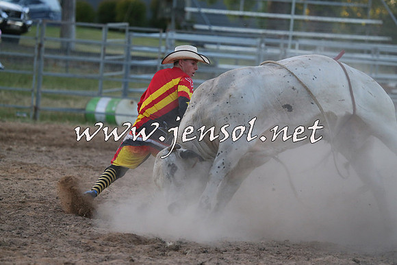 MossVale2015_2926