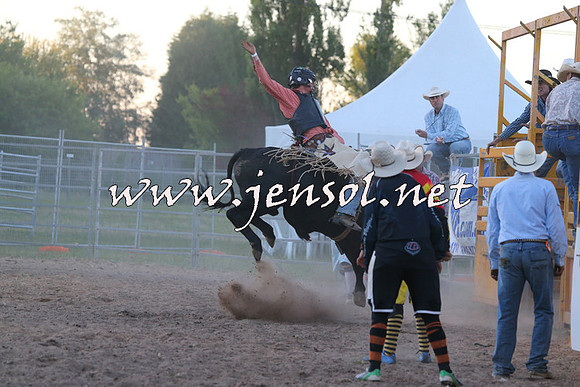 MossVale2015_3003