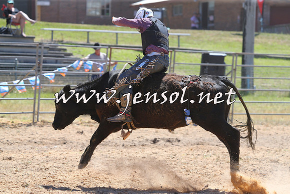 MossVale2015_2139-1