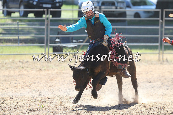 MossVale2015_2169