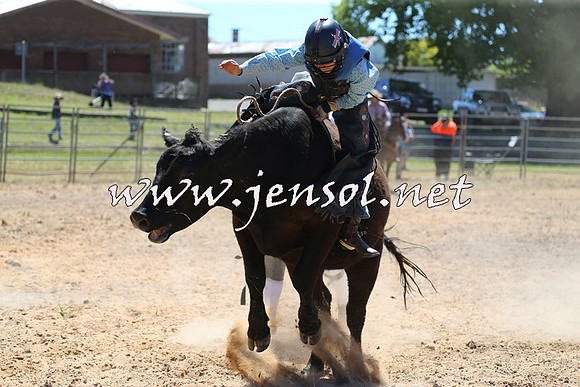 MossVale2015_2076-1