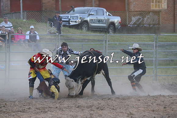 MossVale2015_2856