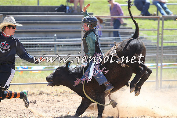 MossVale2015_2191