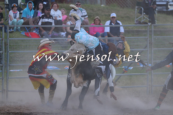 MossVale2015_2830