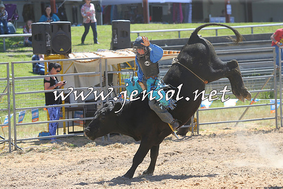 MossVale2015_2160