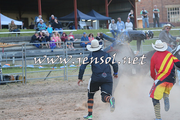 MossVale2015_2816