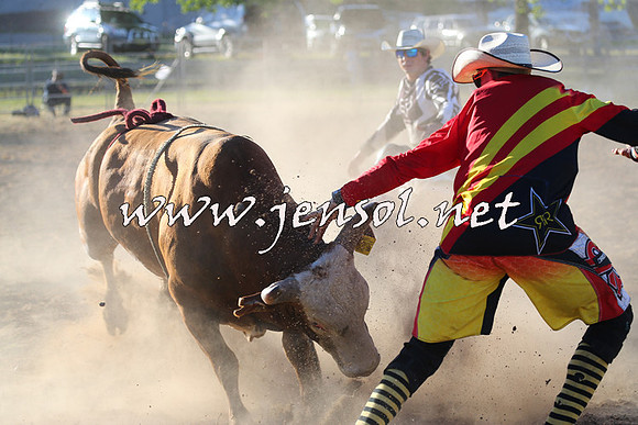 MossVale2015_2736
