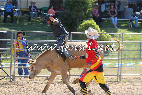 MossVale2015_2248