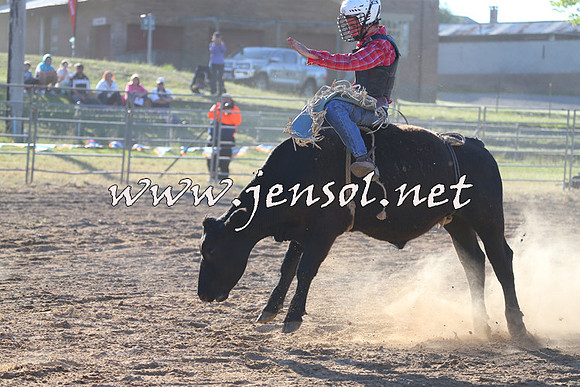 MossVale2015_2474