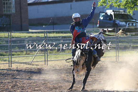 MossVale2015_2701
