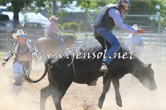 MossVale2015_2153-1