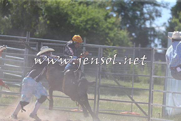 MossVale2015_2225
