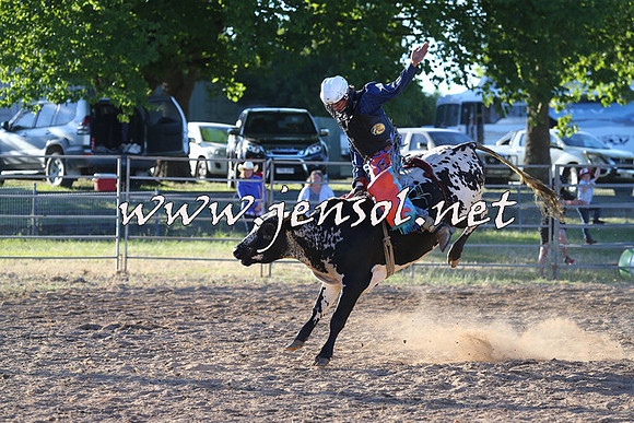 MossVale2015_2693